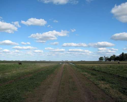 Udaquiola - 405 Ha - Buenos Aires