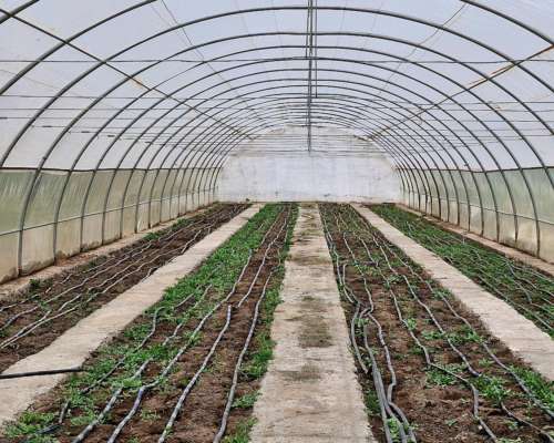 Malargue, Mendonza - 200 Ha