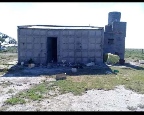 Se Vende Y/O Alquila Campo en Provincia de Santa FÉ