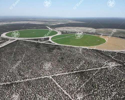 Campo en Venta, 137 Has, Mendoza. Agricola