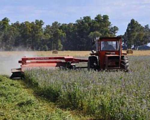 2500 Has Campo Ganadero SUR de Santiago del Estero