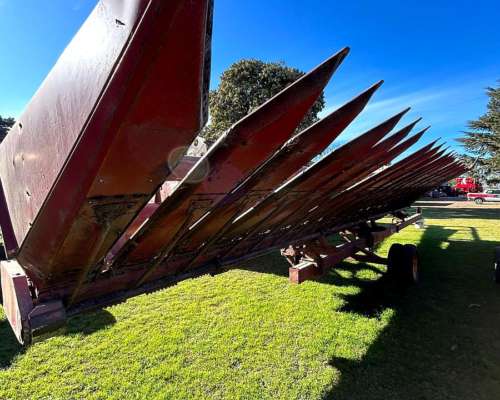 Girasolero Maizco de 12 a 70 - Financiado a 2 Años