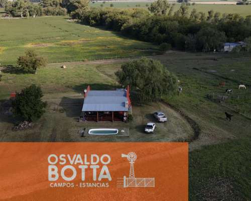 Campo Agricola en Venta 32 Has en Suipacha, Buenos Aires