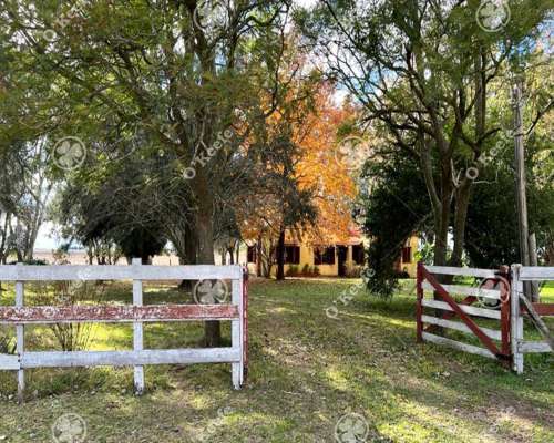 100 Has en Venta Punta Indio - Excelente Acceso - Ideal Hara