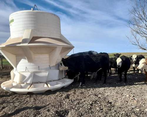 Silos Comedero Autoconsumo Verticales 9.000 KG. (12 M3)