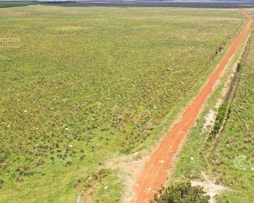 Se Vende Campo Ganadero de 505 Ha en Virasoro, Corrientes