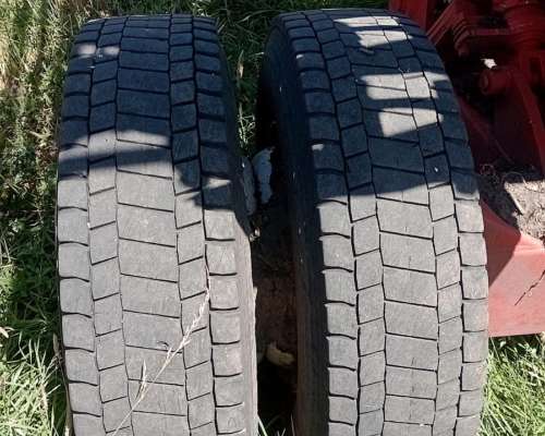 Rastra Rapida Fontana 5000