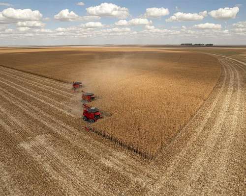 Cosechadoras Case Axial Flow Serie 250