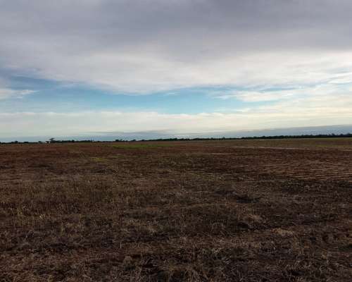 330 Hectáreas, las Varas, Salta