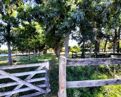 Chacra en Venta de 3,5 Has en Arturo Segui