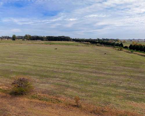Fracción de Campo 100 % Agrícola en San Andrés de Giles.