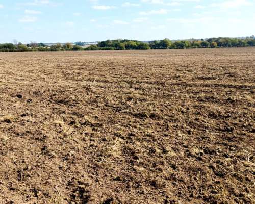 Venta. 26 Has Agricolas en Tres Bocas. Gualeguay