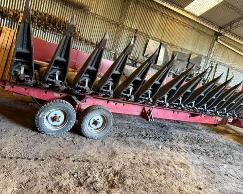 Maicero Mainero Modelo 2008 de 13 a 52