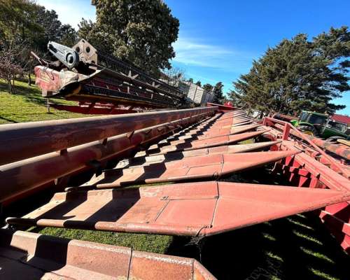 Girasolero Maizco de 12 a 70 - Financiado a 2 Años