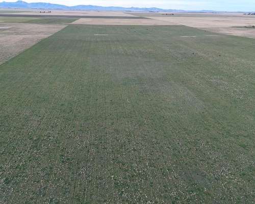 285 Hectareas Bahia Blanca