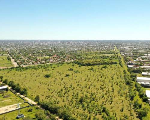 Río Cuarto, Córdoba - 25 Ha