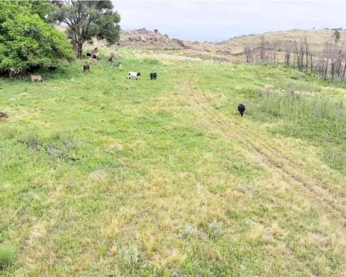 Cordoba Villa Alpina 240 Has