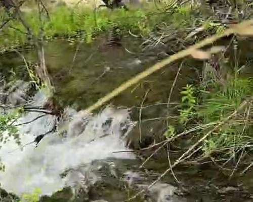 Trevelin, Campo de Precordillera