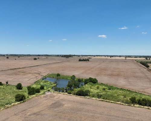 Campo Agrícola con Casco en Zarate
