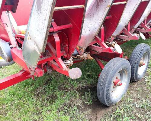 Mainero 2008 - 14 a 52 CM. año 2018