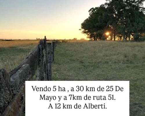Vendo 5 Ha con LUZ y Agua.