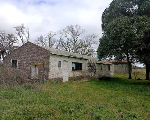 302 HA, Ganadero, Chascomus