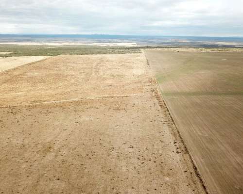 Vende Campo - 80 Ha - Fraga, San Luis