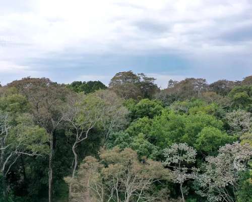 Chacra de 3.7 Ha Sobre Rio Paraná y Sobre Ruta. sin Mejoras.