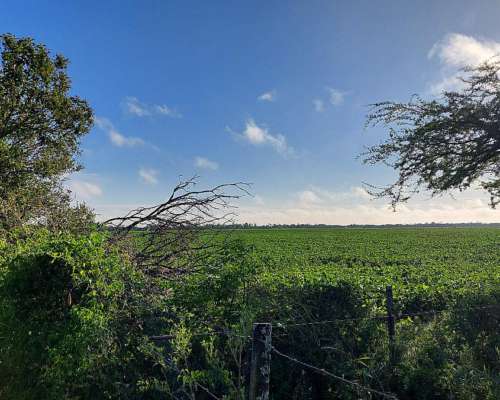 Se Vende 120 Has Zona Virginia