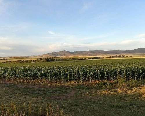 Vendo 64 Has con Arroyo Sierra de la Ventana