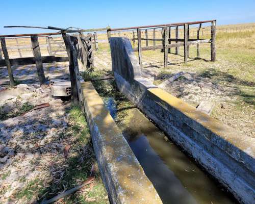 2.228 Has Arrendamiento Ganadero en Pje. San Salvador Corrie