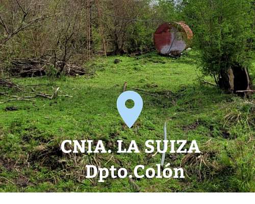 12 HA. en Cnia. la Suiza