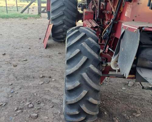 Usado - Case IH 2388 - año 2004 - 2wd - ROD Simple - 30 Pies