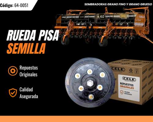 Rueda de Pisa Semilla