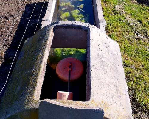 Bebederos con Flotante de Hormigon Completo 2 Unidades