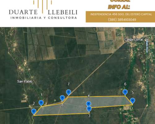 Campo de 2000 Has Sobre Ruta 5 – Caspi Corral SGO del Estero