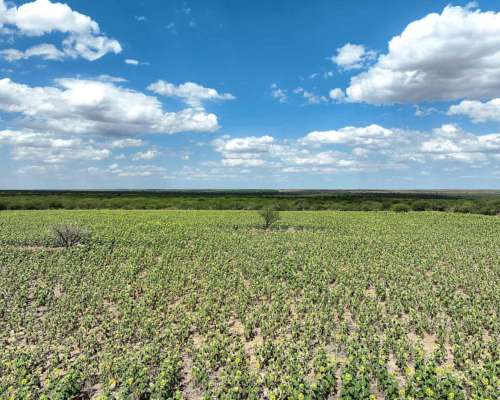 Pcia. de San Luis - Nahuel Mapa 3458 Ha