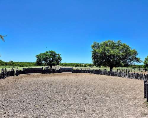 Er0345 4000 HA. Mixto Felciano Entre Rios