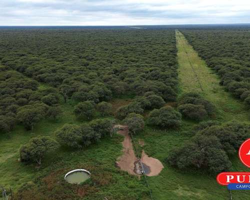 En Venta Campo Ganadero