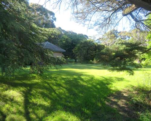 Dorbigny - 80 Ha - Buenos Aires