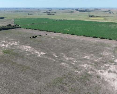 Chascomús, Buenos Aires - 1.038 Ha