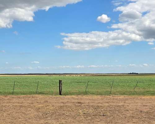 800 Hectareas en Venta