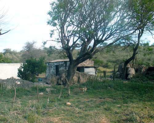 Campo Ganadero, Agua, Ruta Pavimentada, Electricidad
