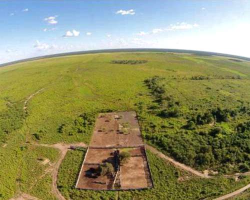 Patiño , Formosa - 7058ha