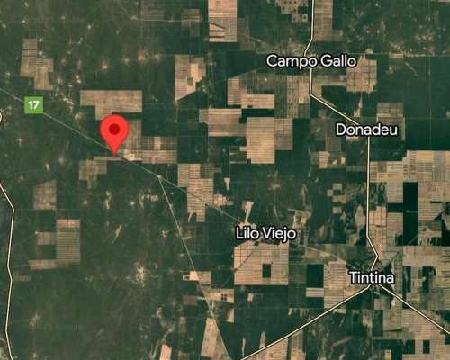Campo con Monte a Desarrollar en Zona Lilo Viejo