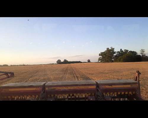 Servicio de Triturado de Rastrojos,siembra y Roturacion