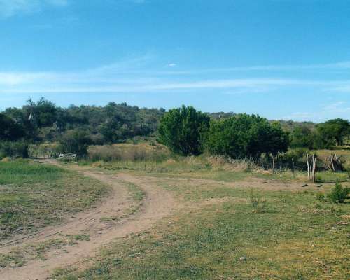 Campo Ganadero, Agua, Ruta Pavimentada, Electricidad