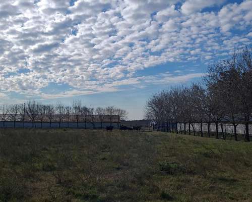 76 Hectáreas en Dto. Uruguay, Entre Ríos