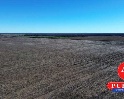 1000 HA. Agrícolas en Alquiler