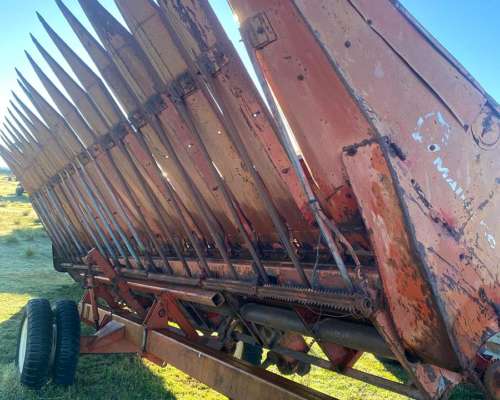 Girasolero Mainero 10 / 70